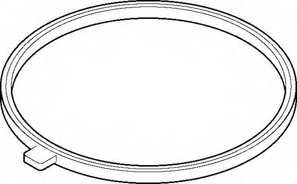 Прокладка, корпус впускного колектора ELRING 898.640