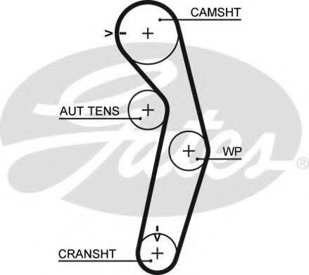 Ремінь ГРМ GATES 5445XS