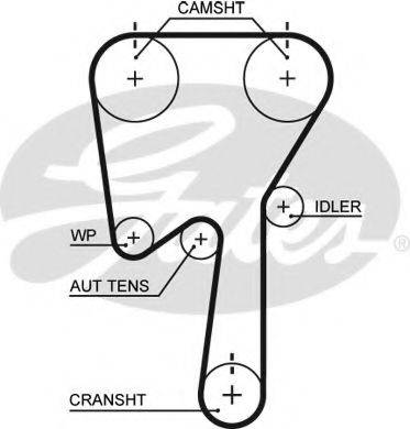 Ремінь ГРМ GATES 5509XS