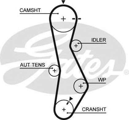 Ремінь ГРМ GATES 5579XS