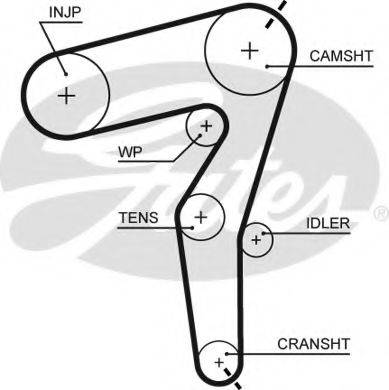 Ремінь ГРМ GATES 5650XS
